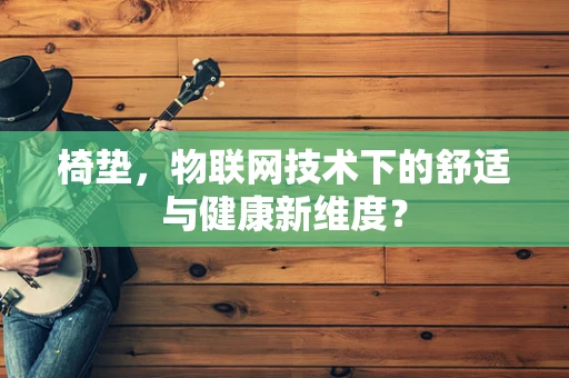 椅垫，物联网技术下的舒适与健康新维度？