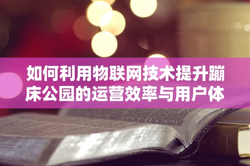 如何利用物联网技术提升蹦床公园的运营效率与用户体验？