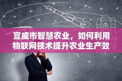 宣威市智慧农业，如何利用物联网技术提升农业生产效率？