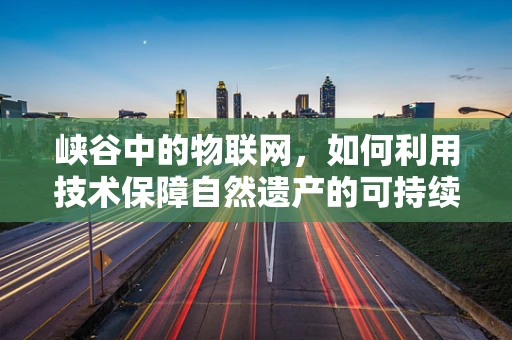 峡谷中的物联网，如何利用技术保障自然遗产的可持续发展？