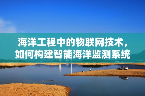 海洋工程中的物联网技术，如何构建智能海洋监测系统？