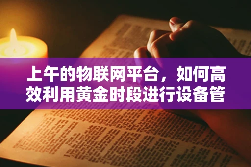 上午的物联网平台，如何高效利用黄金时段进行设备管理与维护？