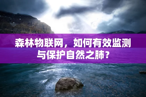 森林物联网，如何有效监测与保护自然之肺？