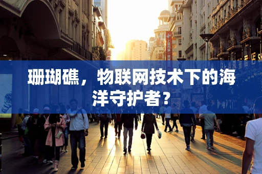 珊瑚礁，物联网技术下的海洋守护者？