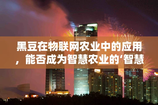 黑豆在物联网农业中的应用，能否成为智慧农业的‘智慧豆’？