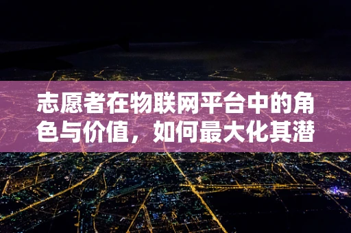 志愿者在物联网平台中的角色与价值，如何最大化其潜力？