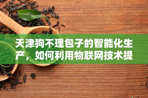 天津狗不理包子的智能化生产，如何利用物联网技术提升品质与效率？