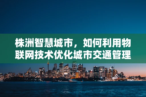 株洲智慧城市，如何利用物联网技术优化城市交通管理？