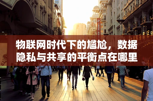 物联网时代下的尴尬，数据隐私与共享的平衡点在哪里？