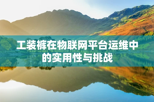 工装裤在物联网平台运维中的实用性与挑战
