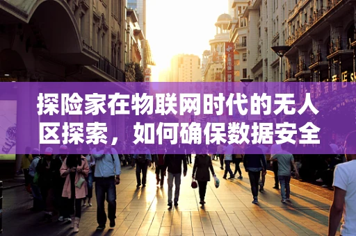 探险家在物联网时代的无人区探索，如何确保数据安全与隐私？