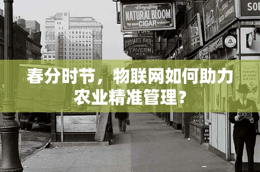 春分时节，物联网如何助力农业精准管理？