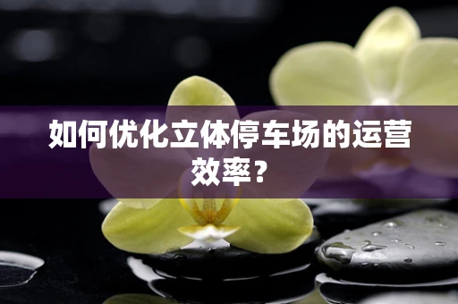如何优化立体停车场的运营效率？