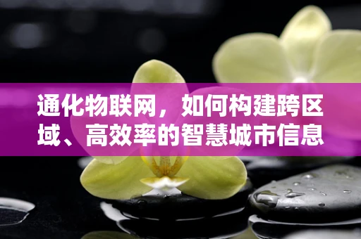 通化物联网，如何构建跨区域、高效率的智慧城市信息网络？