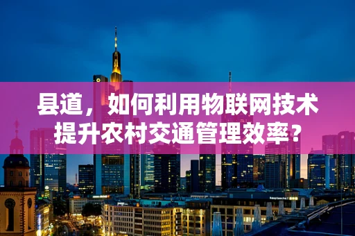 县道，如何利用物联网技术提升农村交通管理效率？