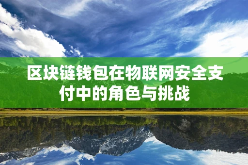 区块链钱包在物联网安全支付中的角色与挑战