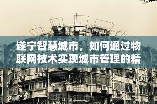 遂宁智慧城市，如何通过物联网技术实现城市管理的精细化与智能化？