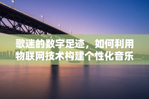 歌迷的数字足迹，如何利用物联网技术构建个性化音乐体验？