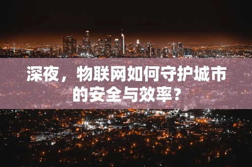 深夜，物联网如何守护城市的安全与效率？