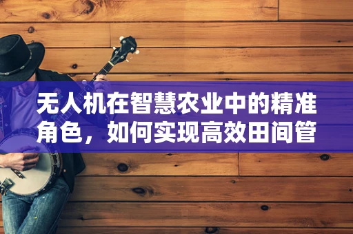 无人机在智慧农业中的精准角色，如何实现高效田间管理？