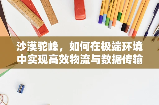 沙漠驼峰，如何在极端环境中实现高效物流与数据传输？