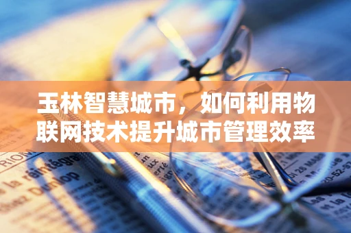 玉林智慧城市，如何利用物联网技术提升城市管理效率？