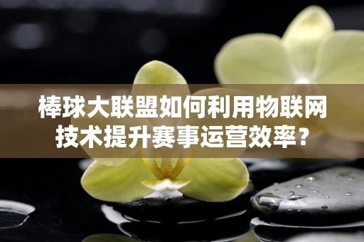 棒球大联盟如何利用物联网技术提升赛事运营效率？