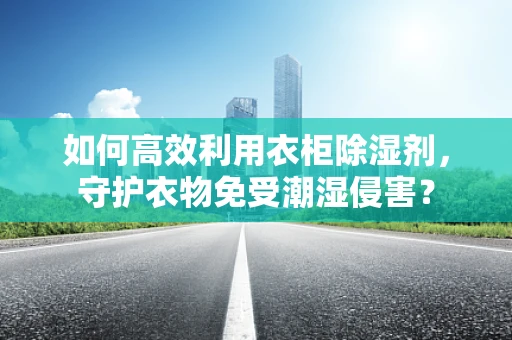 如何高效利用衣柜除湿剂，守护衣物免受潮湿侵害？