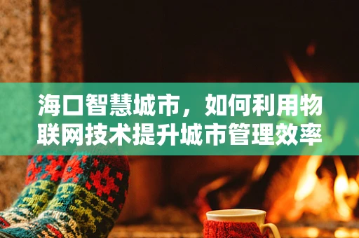 海口智慧城市，如何利用物联网技术提升城市管理效率？
