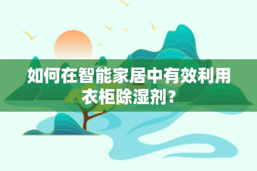 如何在智能家居中有效利用衣柜除湿剂？