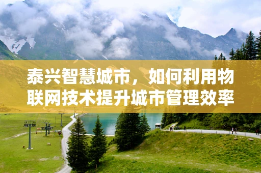 泰兴智慧城市，如何利用物联网技术提升城市管理效率？