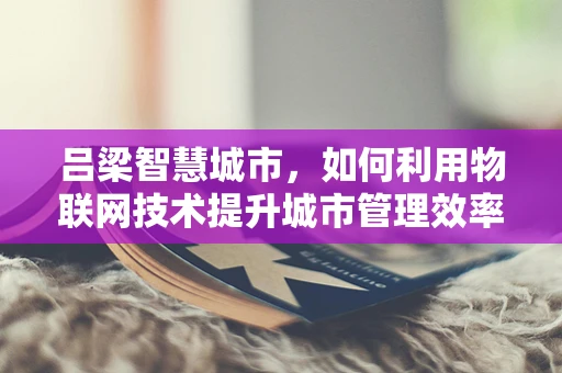 吕梁智慧城市，如何利用物联网技术提升城市管理效率？