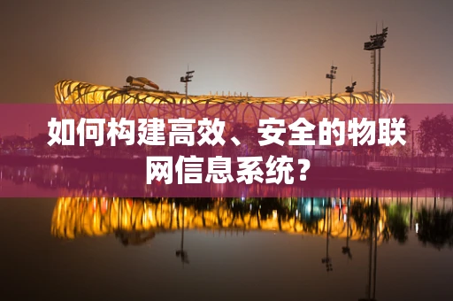 如何构建高效、安全的物联网信息系统？