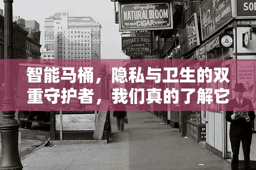 智能马桶，隐私与卫生的双重守护者，我们真的了解它的一切吗？
