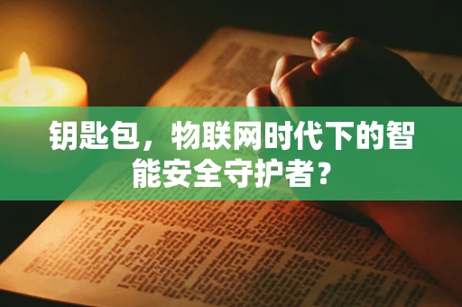 钥匙包，物联网时代下的智能安全守护者？