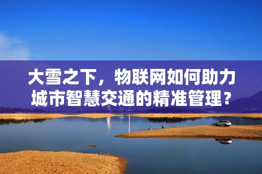大雪之下，物联网如何助力城市智慧交通的精准管理？