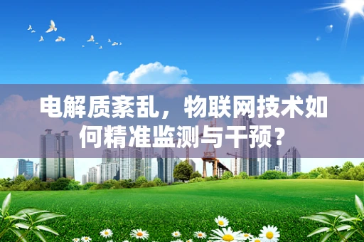 电解质紊乱，物联网技术如何精准监测与干预？