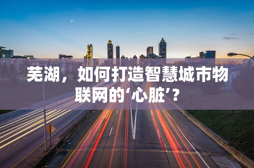 芜湖，如何打造智慧城市物联网的‘心脏’？