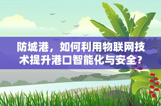 防城港，如何利用物联网技术提升港口智能化与安全？
