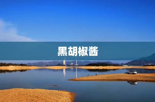 黑胡椒酱