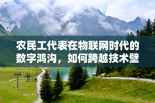 农民工代表在物联网时代的数字鸿沟，如何跨越技术壁垒？