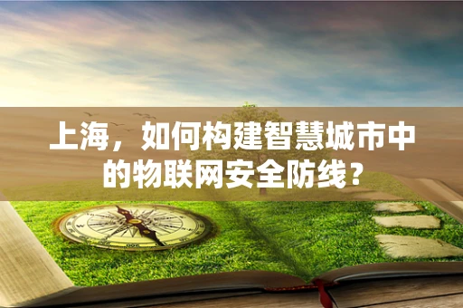 上海，如何构建智慧城市中的物联网安全防线？