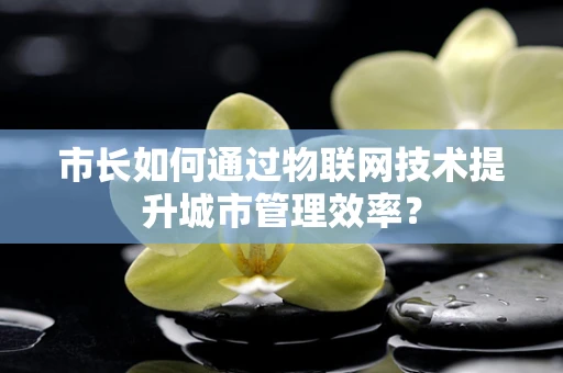 市长如何通过物联网技术提升城市管理效率？