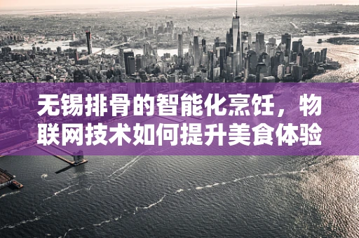 无锡排骨的智能化烹饪，物联网技术如何提升美食体验？