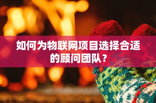 如何为物联网项目选择合适的顾问团队？