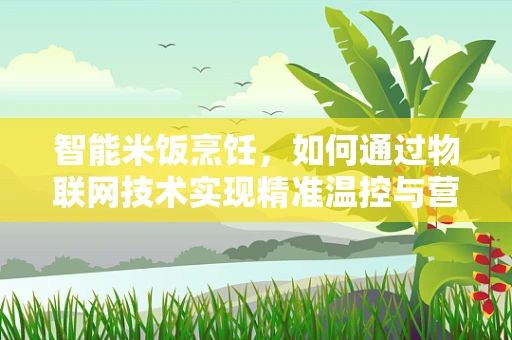 智能米饭烹饪，如何通过物联网技术实现精准温控与营养保留？
