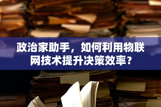 政治家助手，如何利用物联网技术提升决策效率？