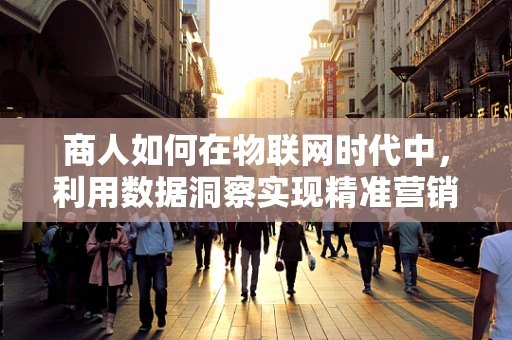 商人如何在物联网时代中，利用数据洞察实现精准营销？