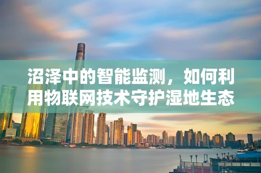 沼泽中的智能监测，如何利用物联网技术守护湿地生态？