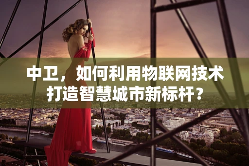 中卫，如何利用物联网技术打造智慧城市新标杆？